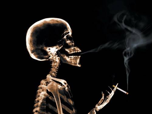 史上最全170個生理常識!讓你震驚! 史上最全170個生理常識!讓你震驚!